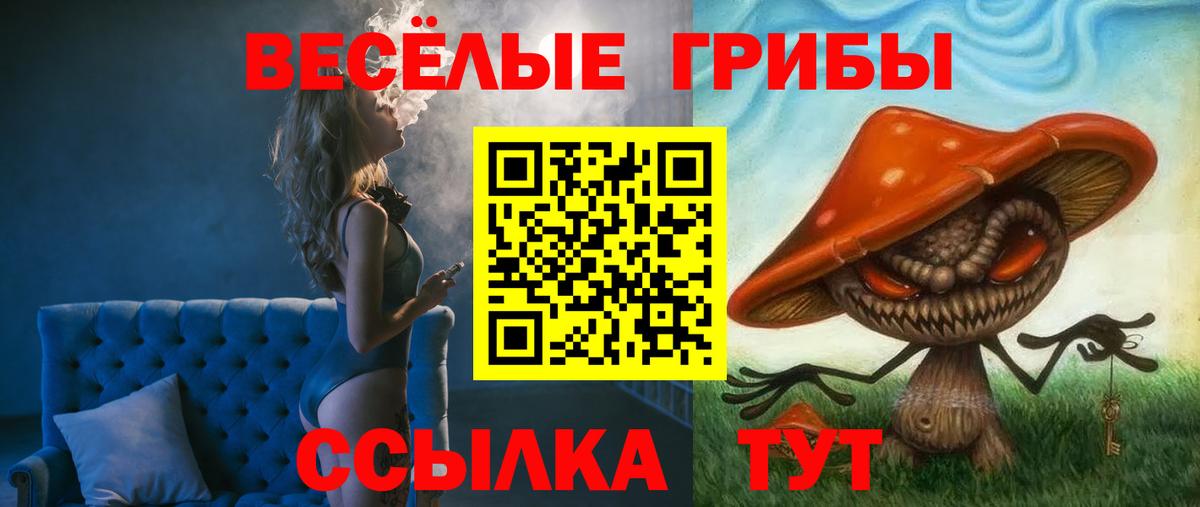 даркнет сайт  Вход с VPN  Новошахтинск  Псилоцибиновые грибы Magic Shrooms  Псилоцибиновые грибы Magic Shrooms 